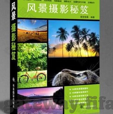 3月25足球比分-3月25足球盛宴，比分背后的激情与策略大揭秘